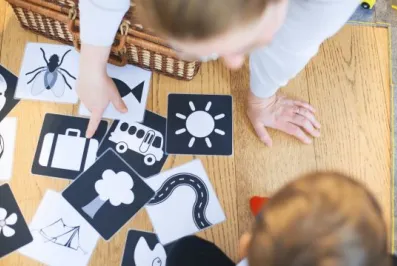 6a1d8531446d6.webp